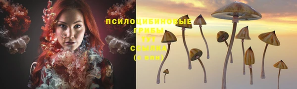 jwh Алексеевка