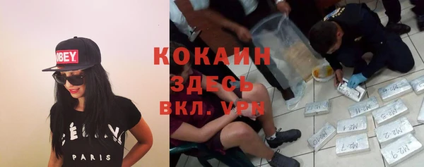 крисы Семилуки
