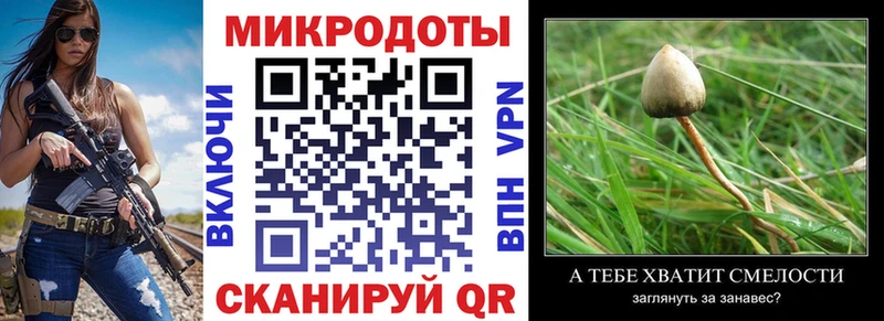 Псилоцибиновые грибы ЛСД mega зеркало Конаково