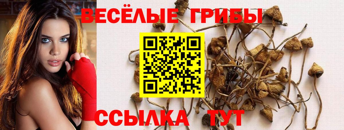 Псилоцибиновые грибы прущие грибы Конаково